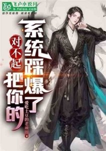 对不起,把你的系统踩爆了
