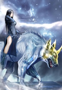 女王的后宫