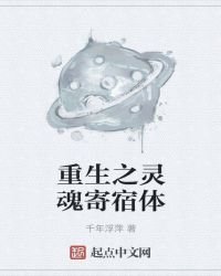 重生之灵魂寄宿体