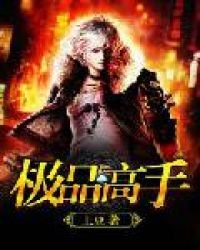 極品高手